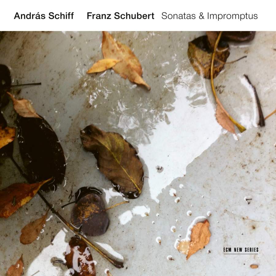 Schubert Sonatas and Impromptus